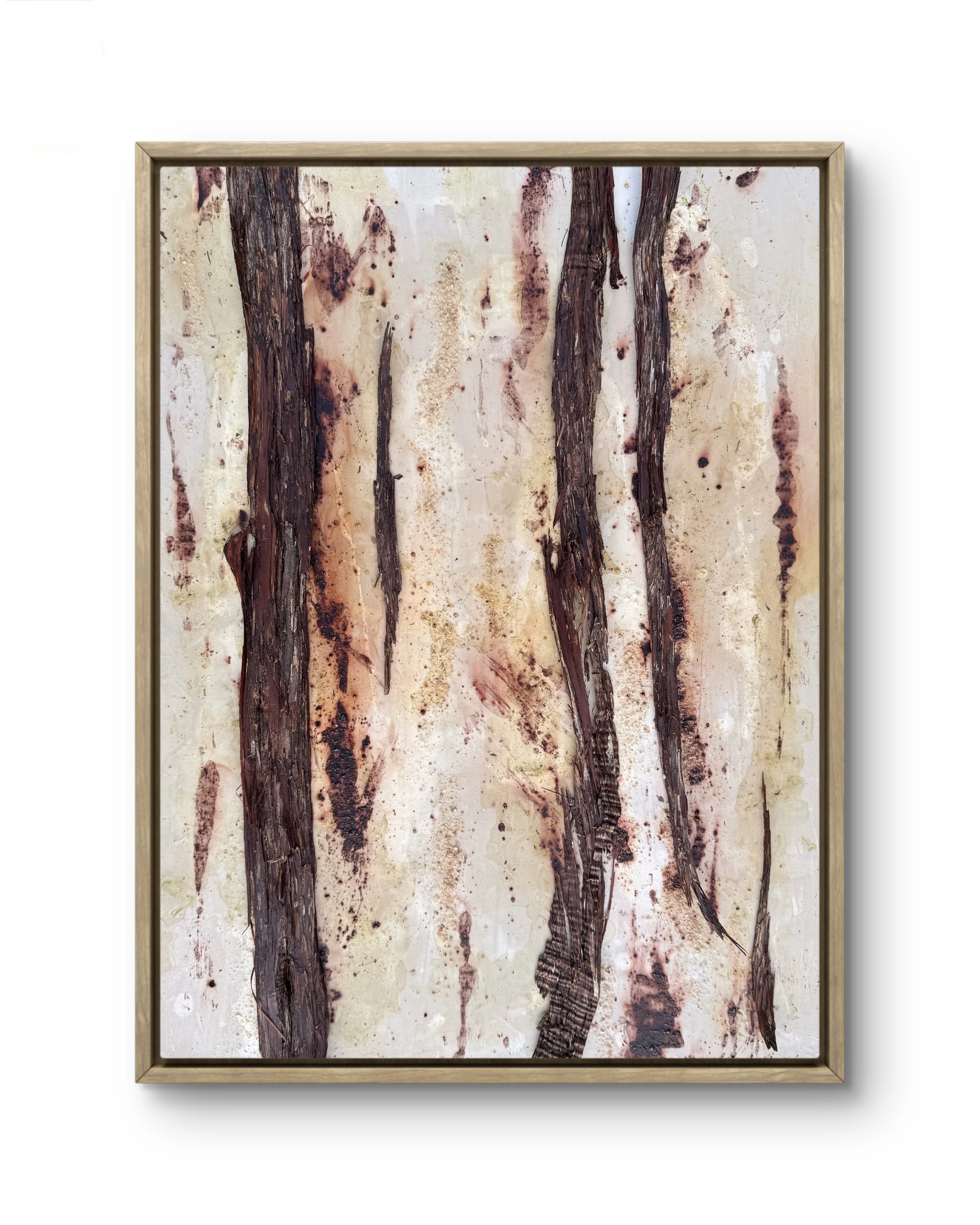 July Pines, 2025. Acacia bark, algae, river sand, bohemian truffle, fresh grass pigment, acrylic on canvas