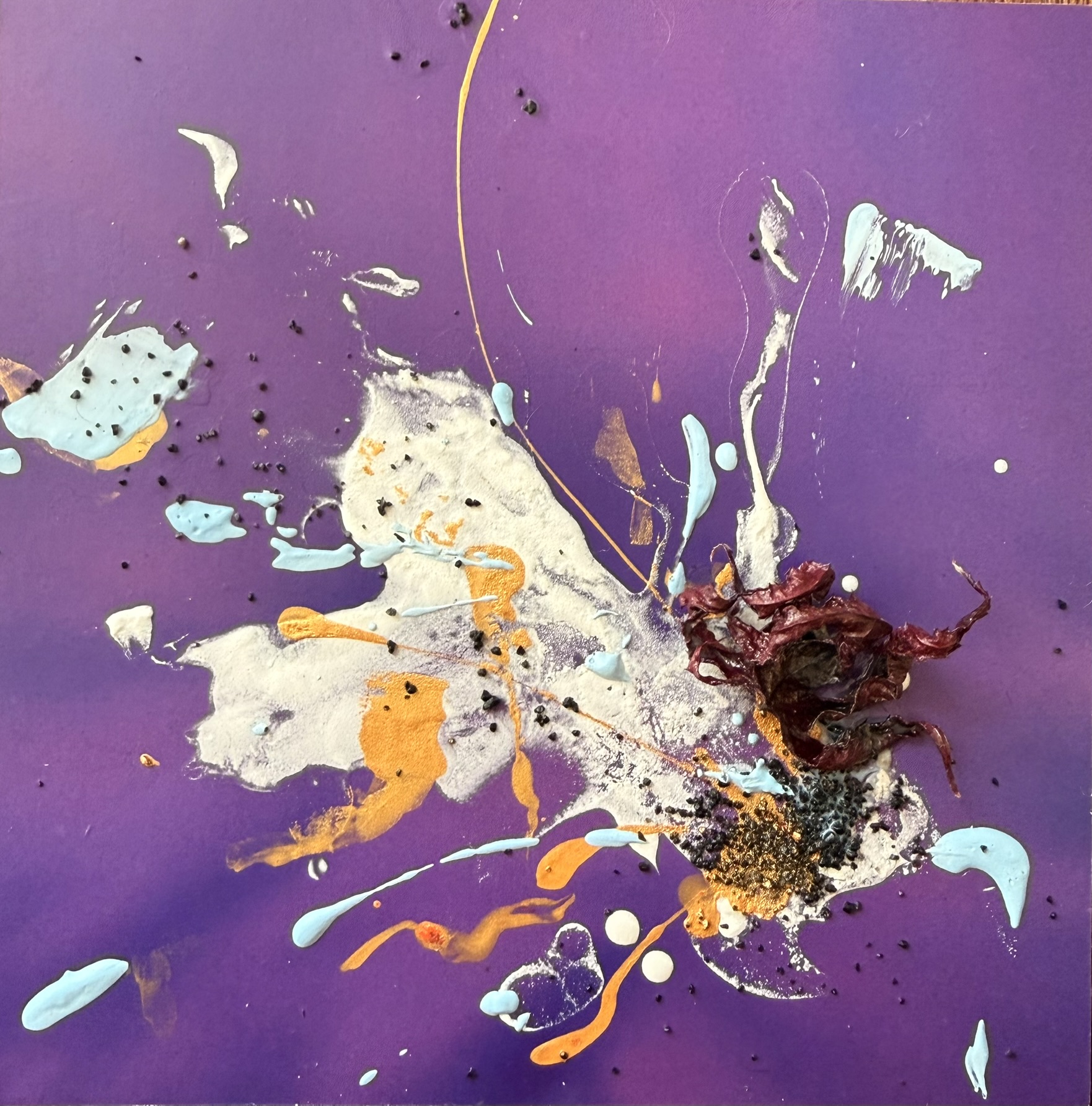 Grounded, 2026. Acrylic, cast elements, coil pieces, air plant, maple leaf on photographic print mounted on foam board.